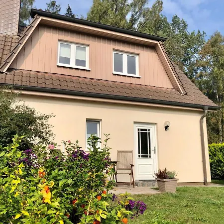 Am Kuestenwald *