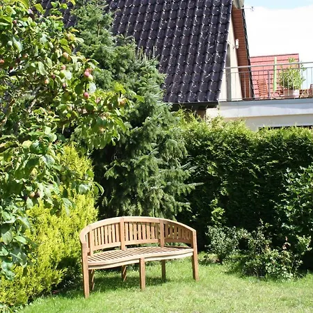 Am Kuestenwald Wustrow (Fischland)
