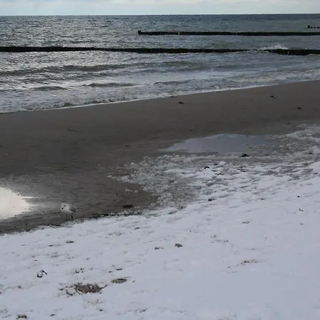 Am Kuestenwald * ווסטרו