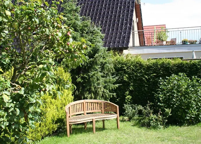 Am Kuestenwald Wustrow (Fischland)